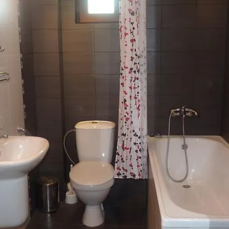 Holiday home Shiroki Dol Near Borovets